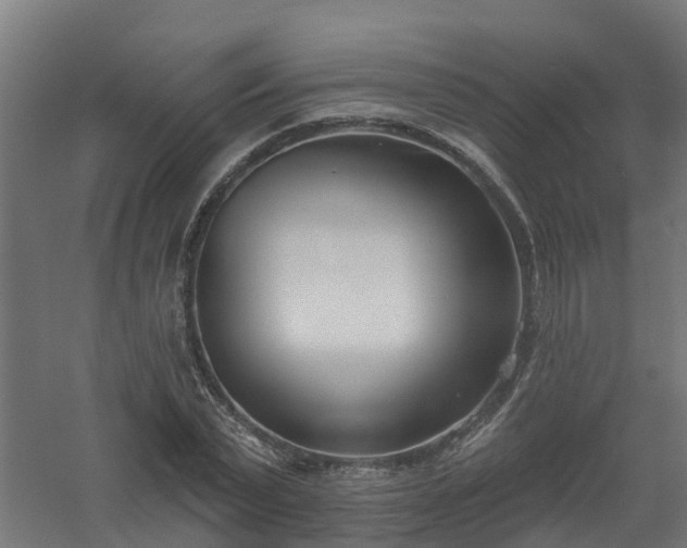 X0000061100783200511241615