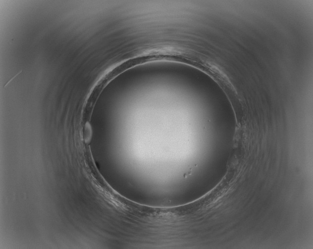 X0000061100784200511241615