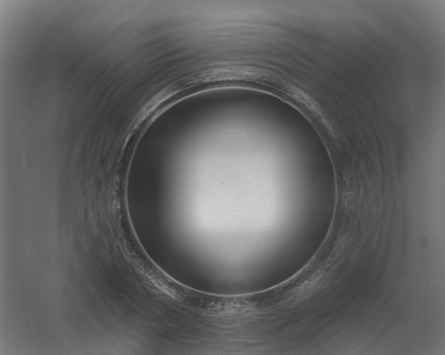 X0000061100786200511241615