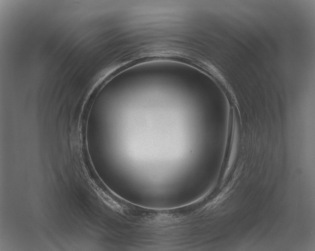 X0000061100787200511241615