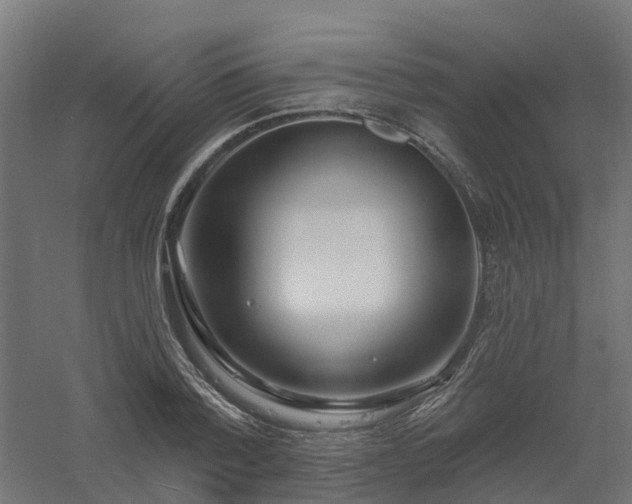 X0000061100788200511241615