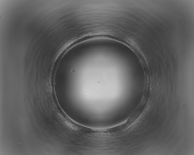 X0000061100789200511241615