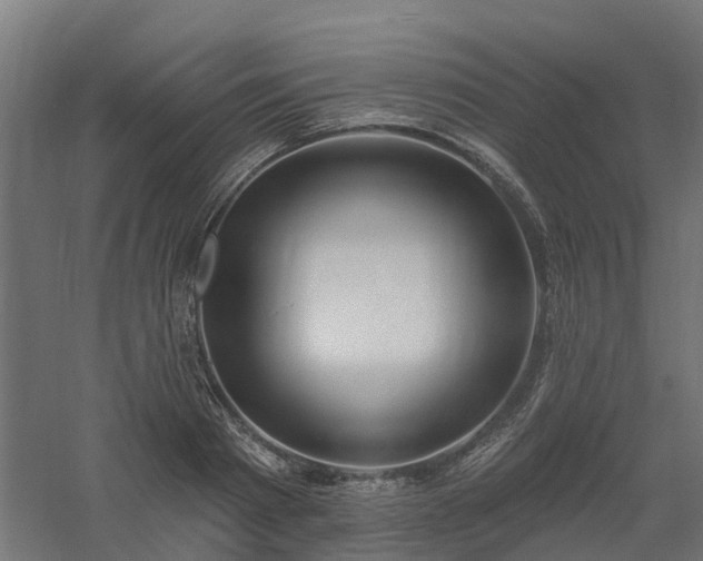 X0000061100793200511241615