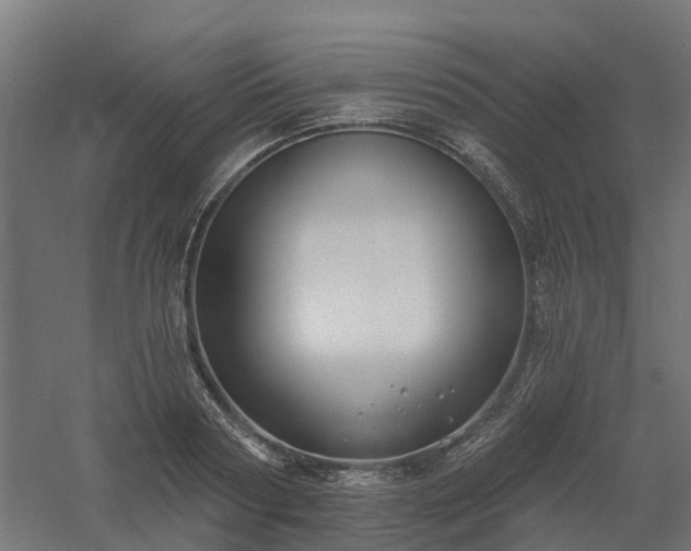 X0000061100794200511241615
