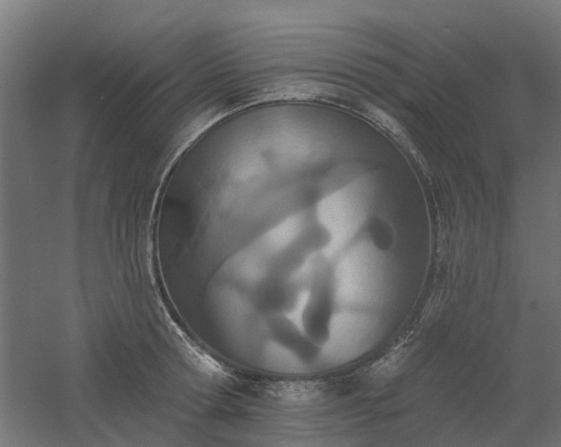 X0000061100802200511241614