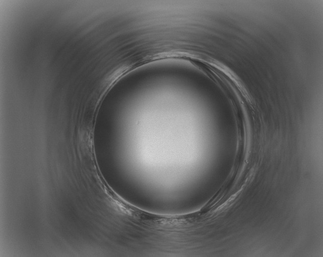 X0000061100809200511241614