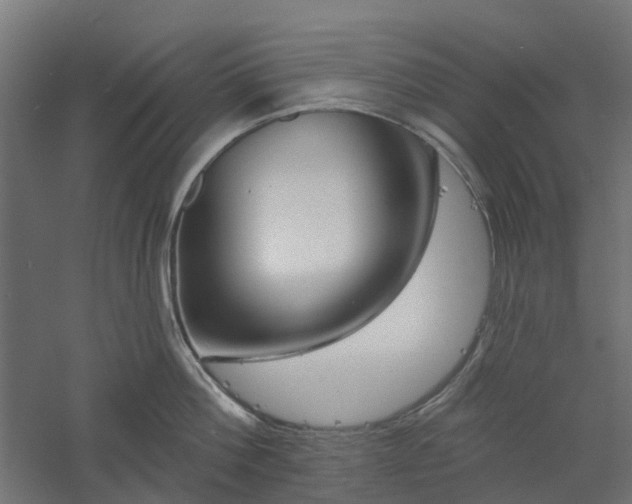 X0000061100812200511241614