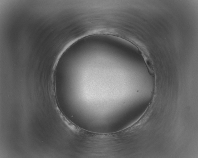 X0000061100816200511241614