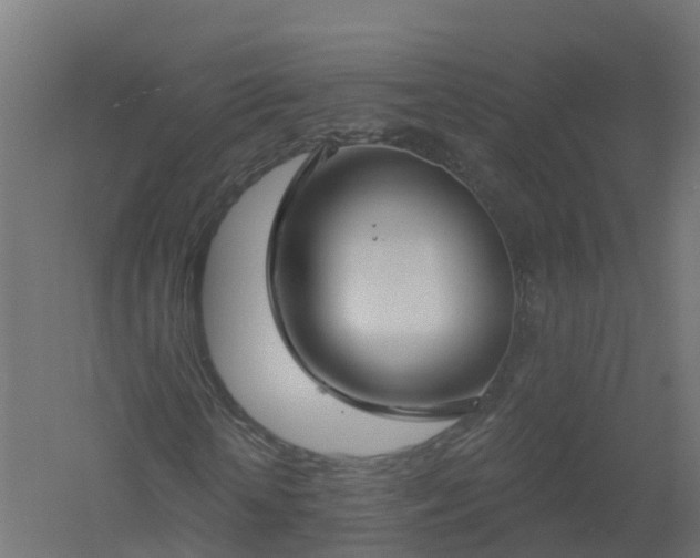 X0000061100818200511241613