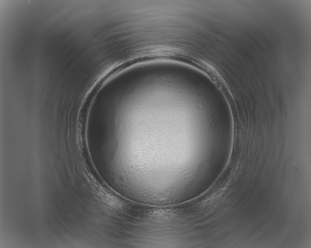 X0000061100835200511241614