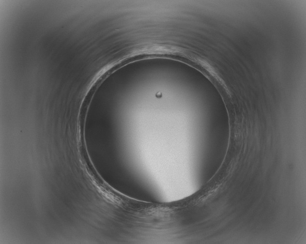 X0000061100837200511241614