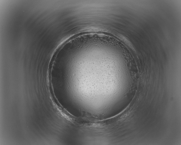 X0000061100839200511241614