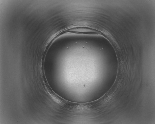 X0000061100842200511241614