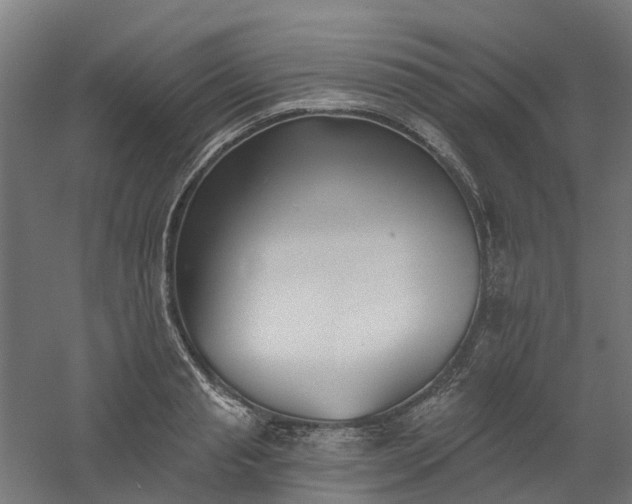 X0000061100845200511241614