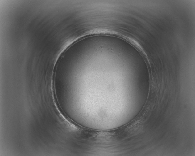 X0000061100847200511241614