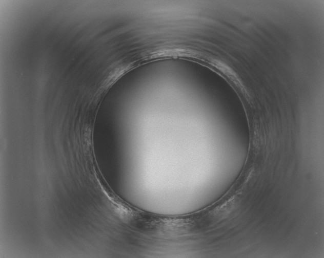 X0000061100849200511241614
