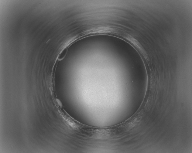X0000061100850200511241614