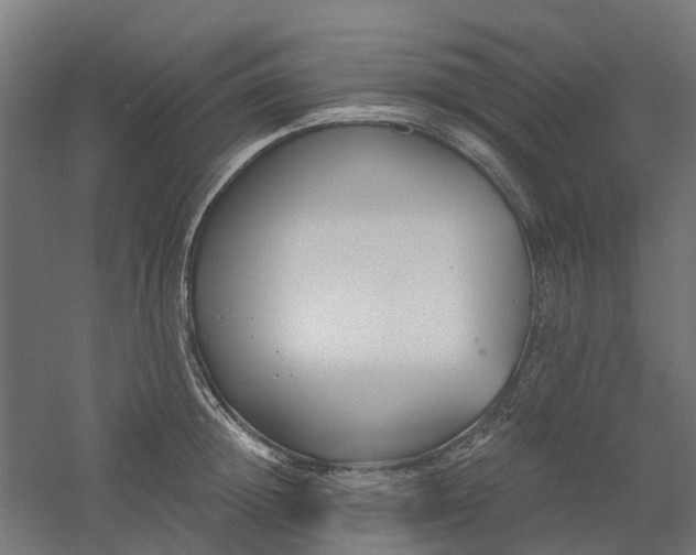 X0000061100852200511241614