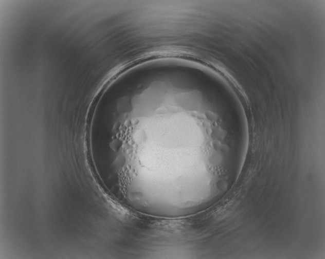X0000061100853200511241614