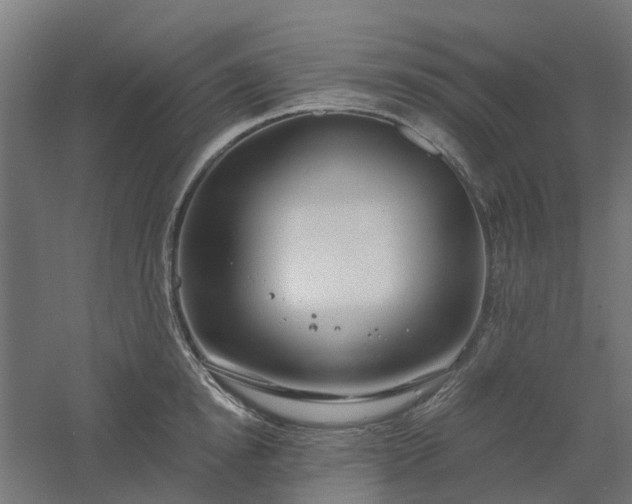 X0000061100854200511241614