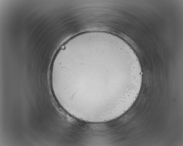 X0000061100856200511241614