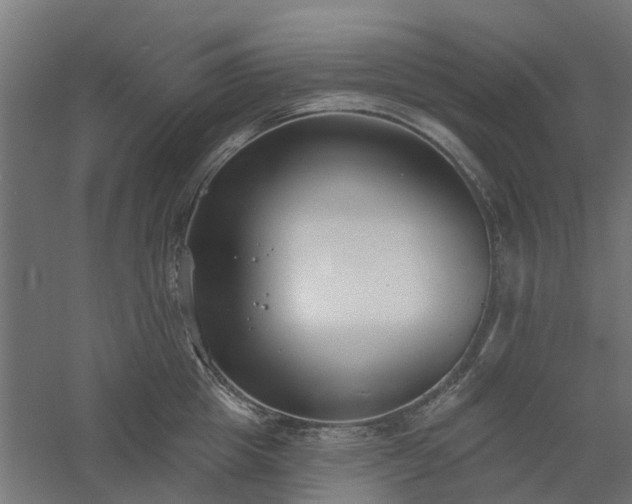 X0000061100857200511241614