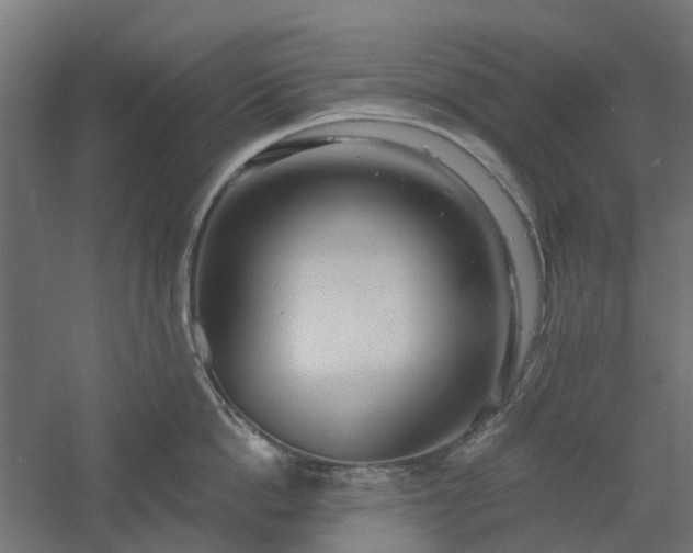 X0000061100862200511241614