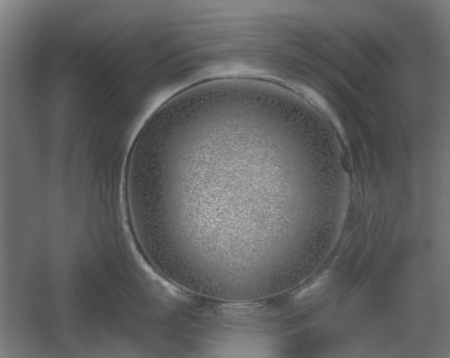 X0000061100863200511241614