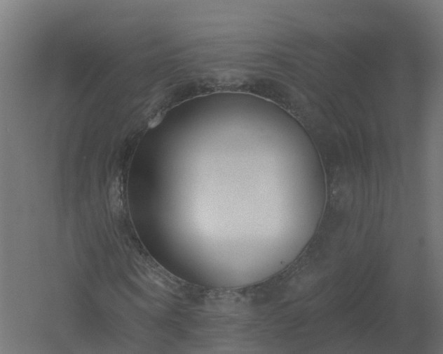 X0000061100866200511241613
