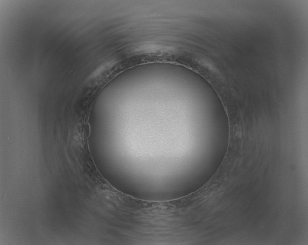 X0000061100869200511241613