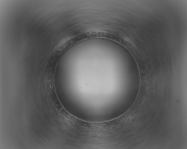X0000061100870200511241613