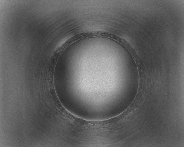 X0000061100871200511241613