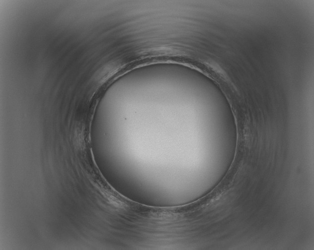 X0000061100873200511241613