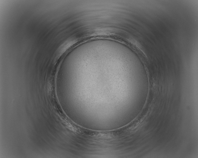 X0000061100874200511241613