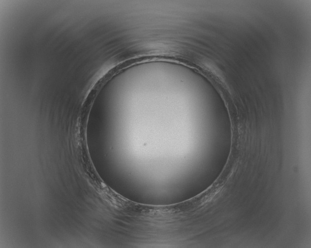X0000061100875200511241613