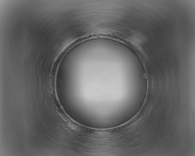 X0000061100878200511241613