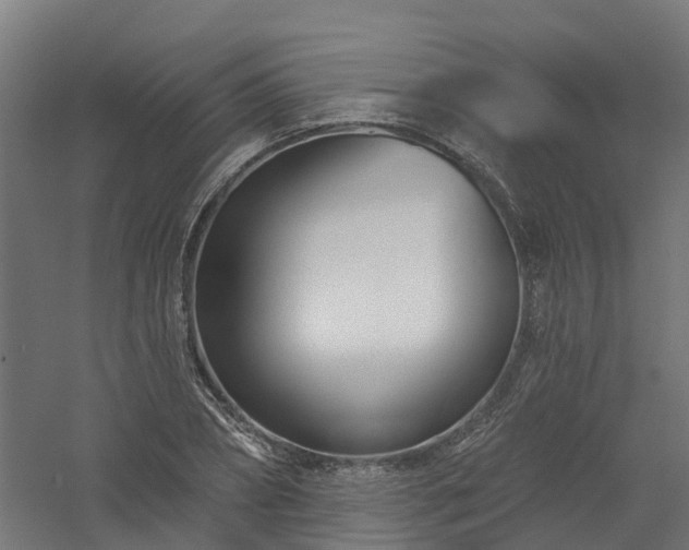 X0000061100882200511241613