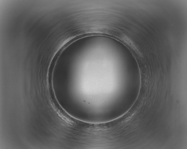 X0000061100884200511241613