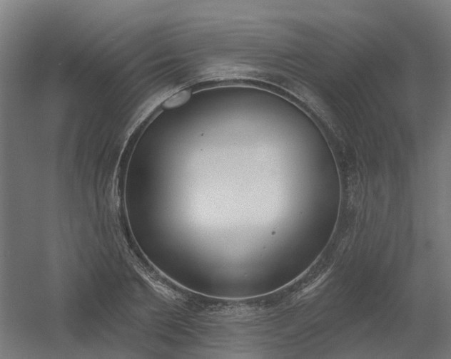 X0000061100885200511241613