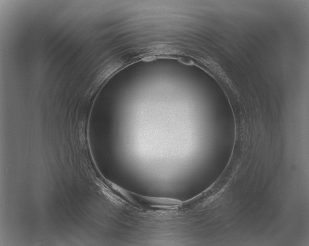 X0000061100889200511241613