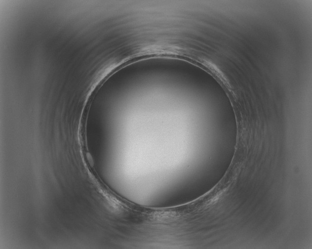 X0000061100893200511241613
