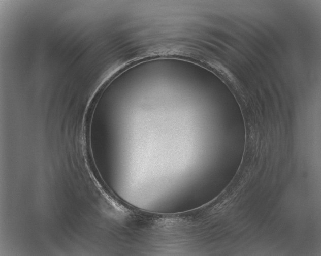 X0000061100894200511241613