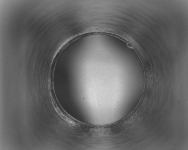 X0000061100896200511241613