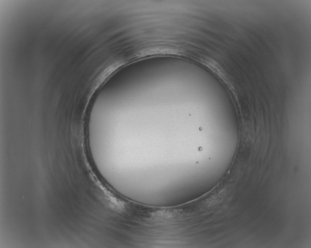X0000061100898200511241613
