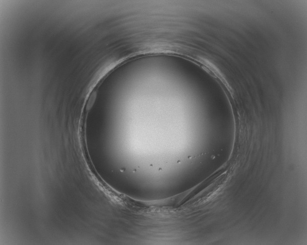 X0000061100901200511241613