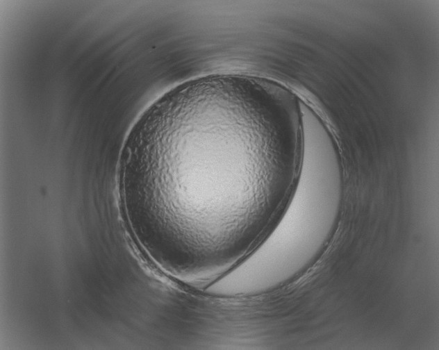 X0000061100904200511241613