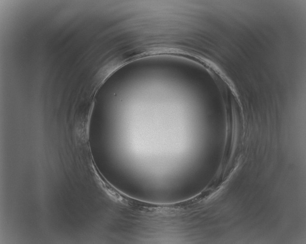 X0000061100905200511241613
