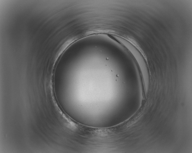 X0000061100906200511241613