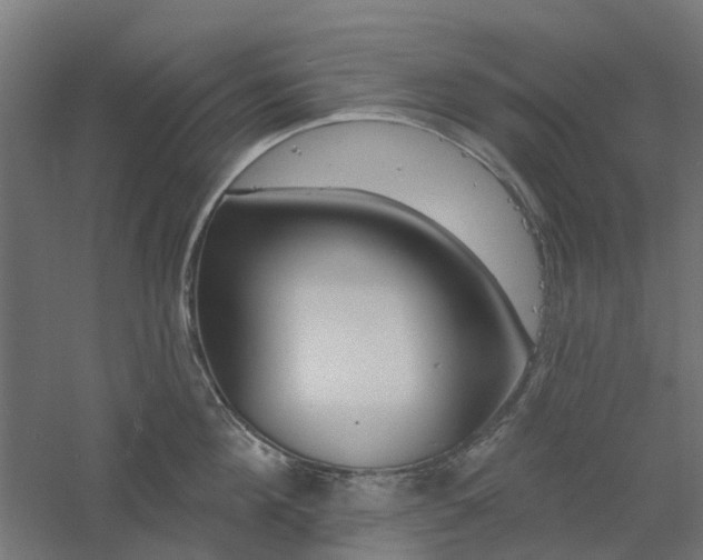 X0000061100908200511241613