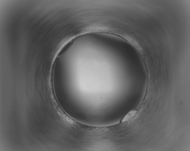 X0000061100912200511241612